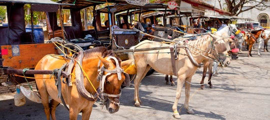 Ilocos Sur_Vigan_Kalesa_Shutterstock_1310645594.jpg