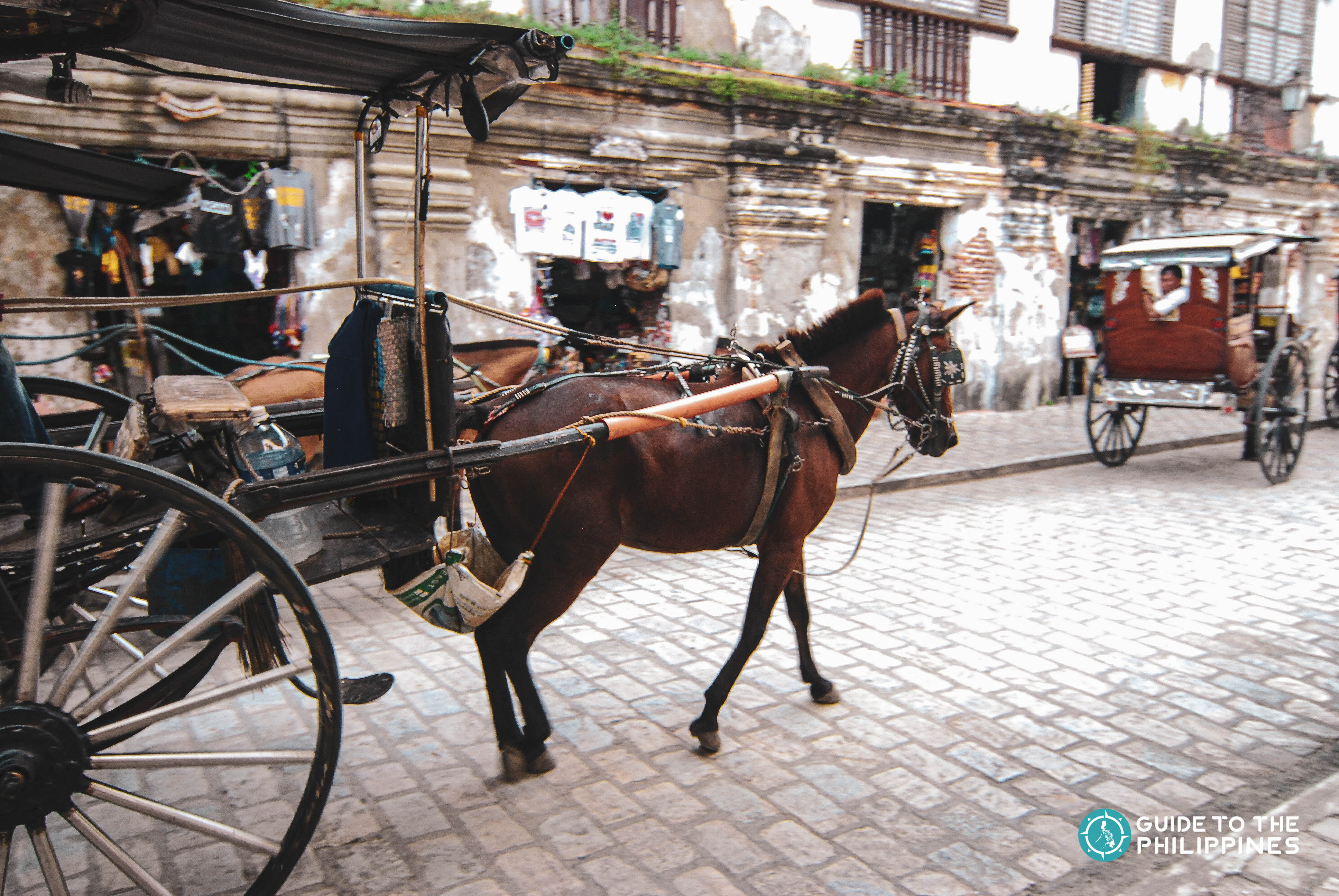 Horse-drawn carried (kalesa) at Calle Crisologo in Vigan, Ilocos Sur
