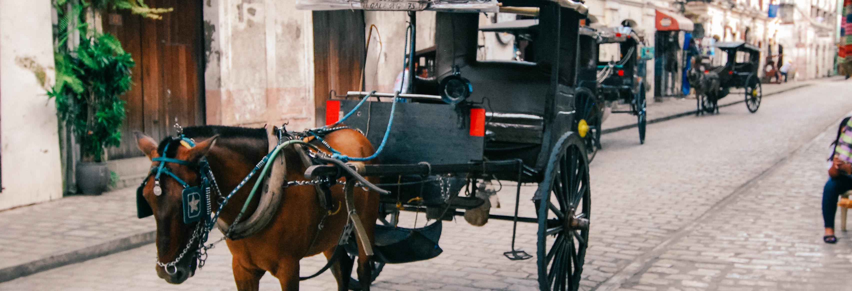 Calle Crisologo Tours