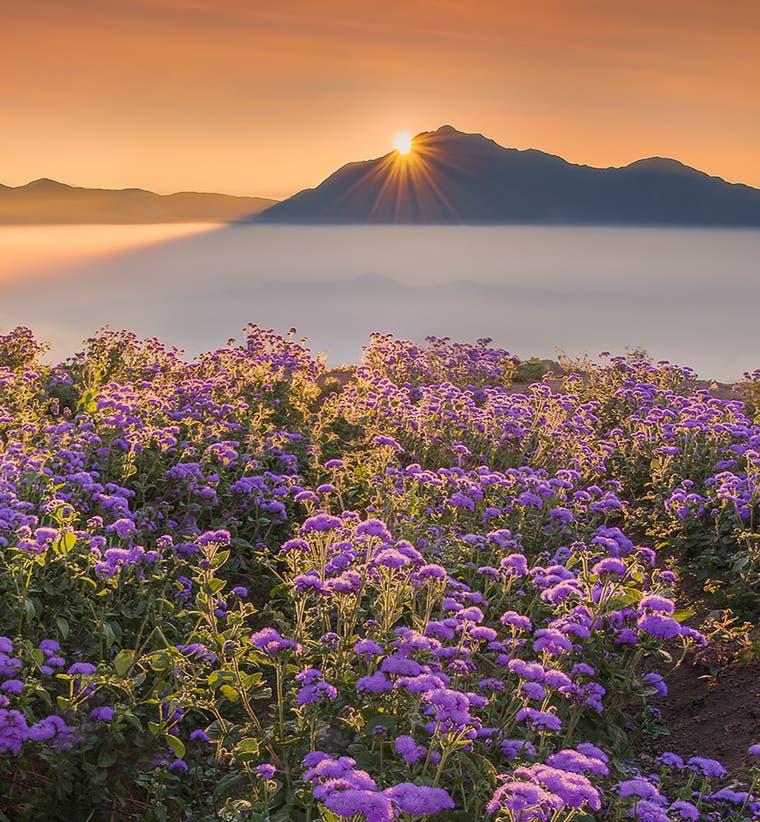 Benguet Tours and Activities