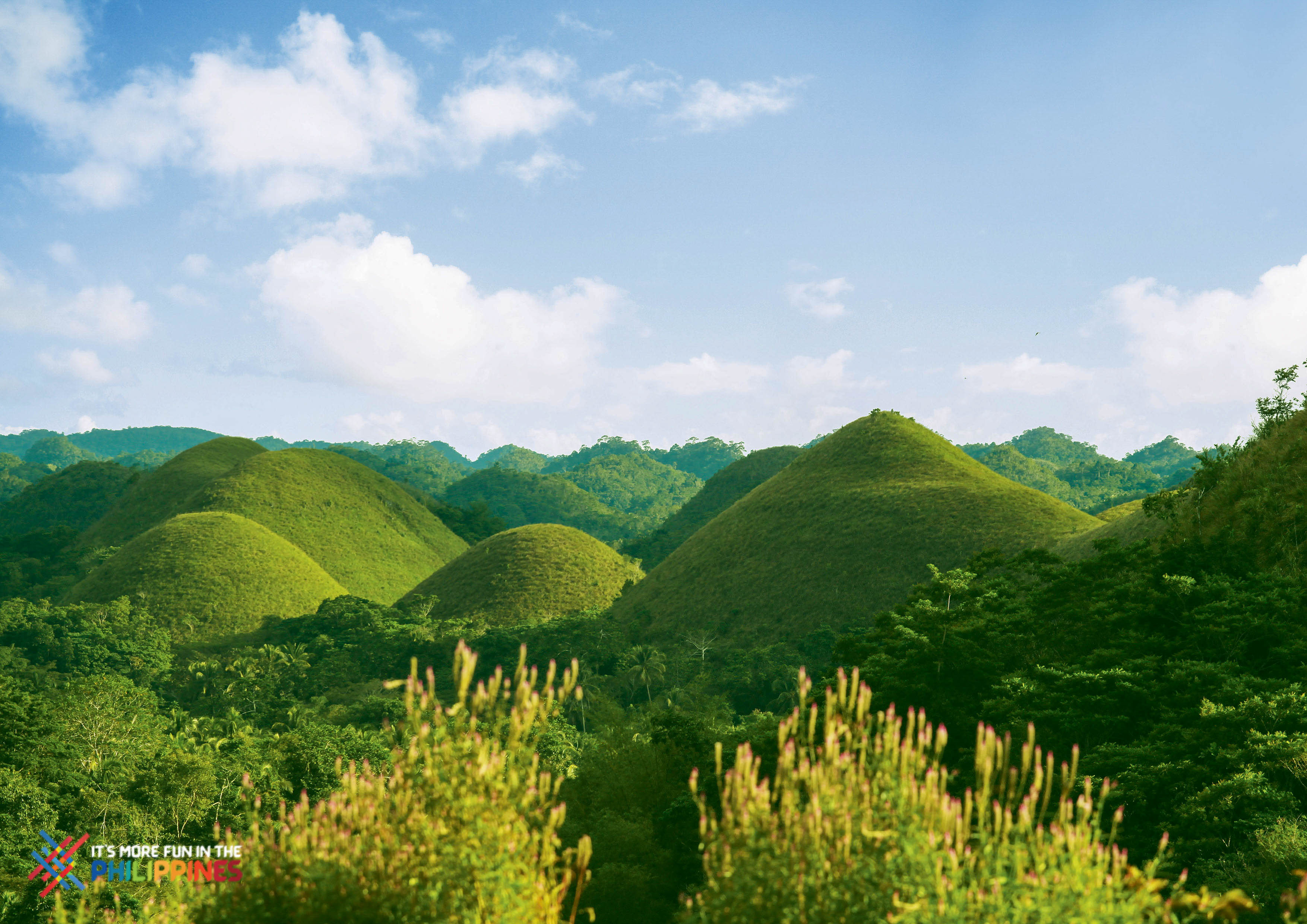 View of the Chocolate Hills in Bohol during rainy season