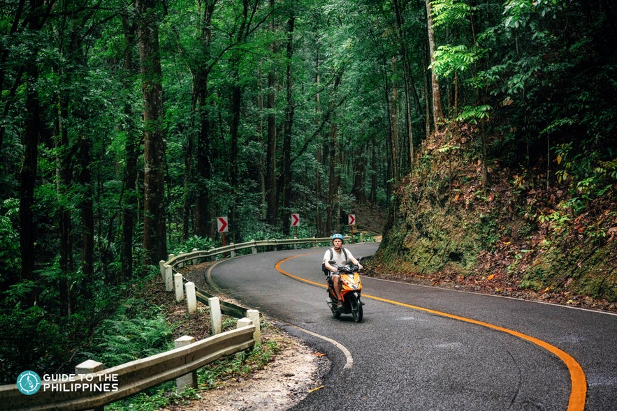 Traveler wandering through the Bilar Man-Made Forest on a motorcycle Traveler wandering through the Bilar Man-Made Forest on a motorcycle