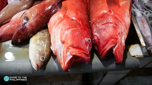 Red snapper at the Puerto Princesa local market in Palawan