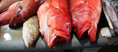 Red snapper at the Puerto Princesa local market in Palawan