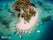 Pass Island in Coron Palawan