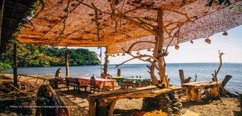 Beehive Driftwood Cafe