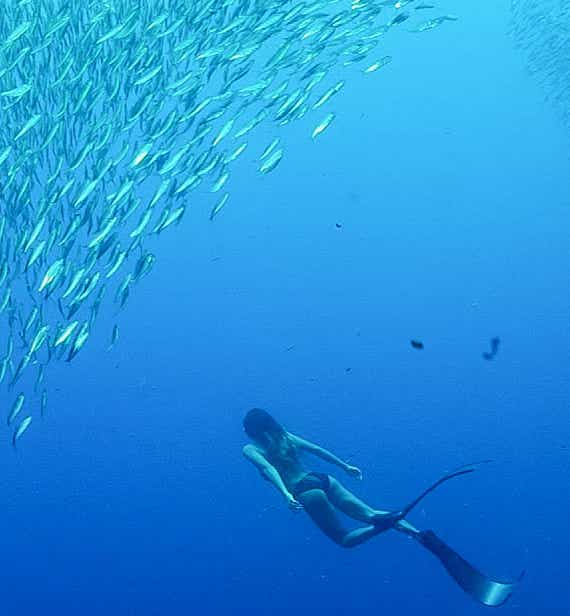 Moalboal Tours and Activities