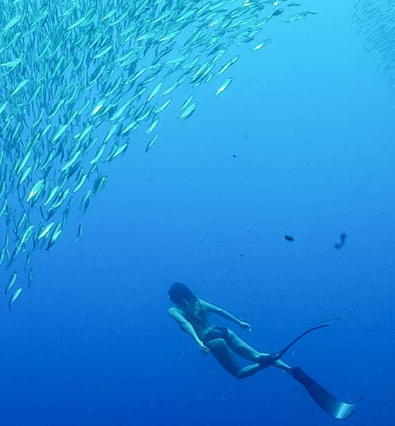 Moalboal Tours and Activities