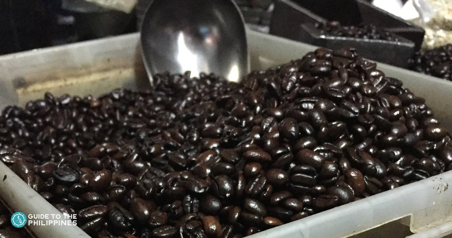 Kapeng Barako in Batangas Kapeng Barako in Batangas