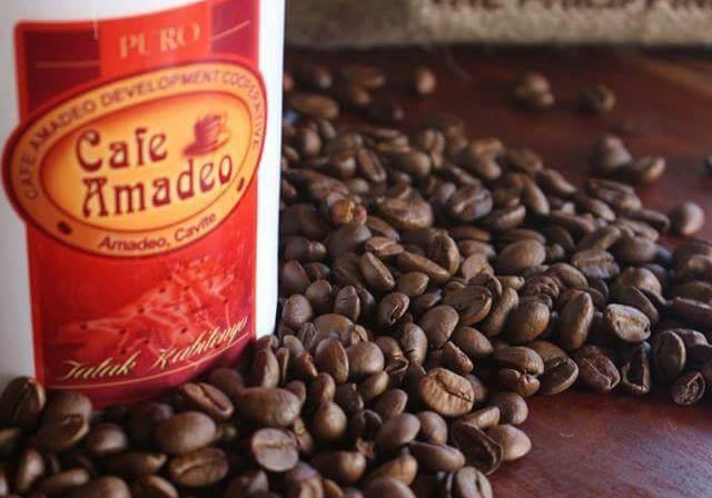 Robusta coffee beans in Cavite