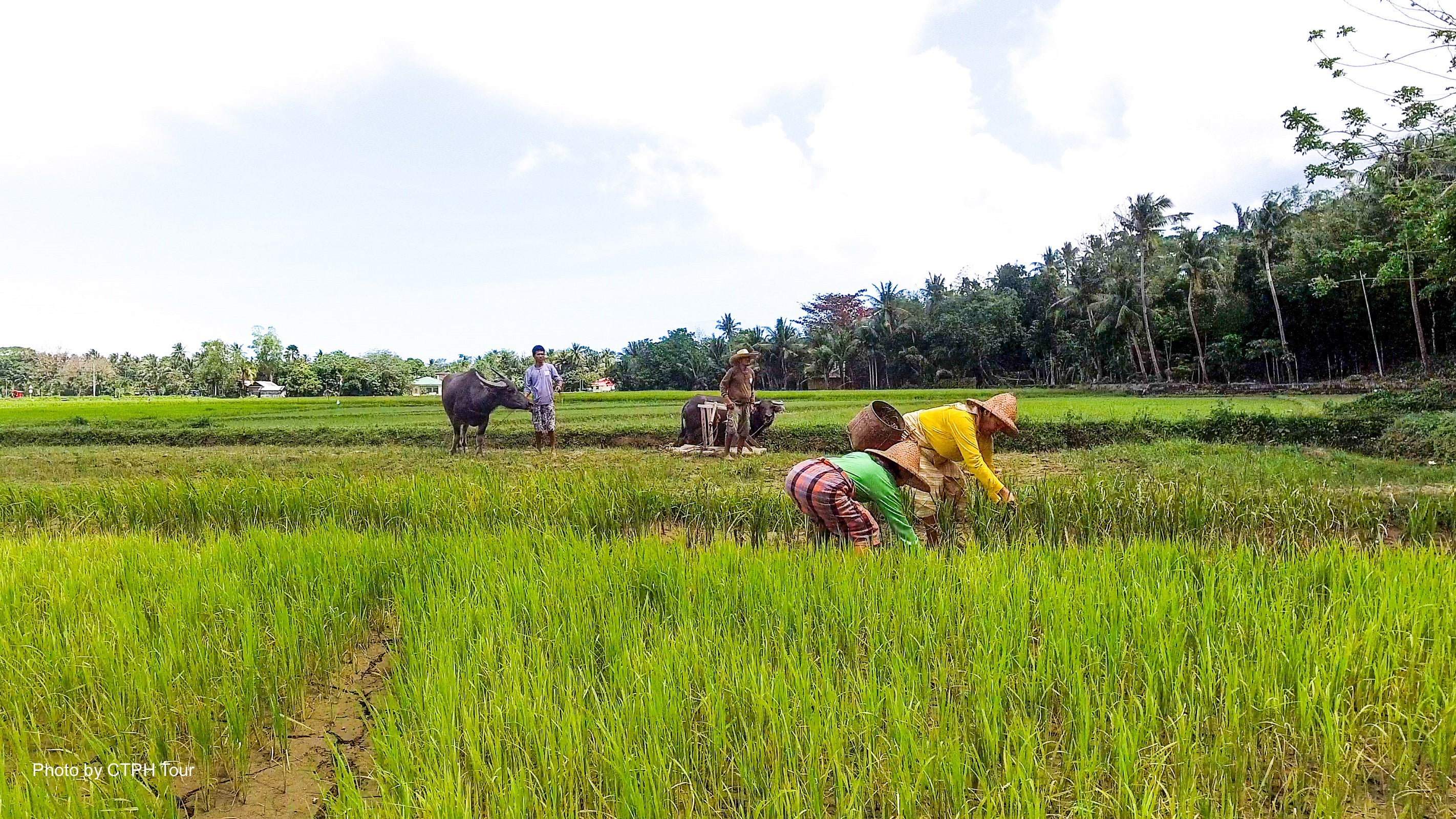 Motag Living Museum in Aklan