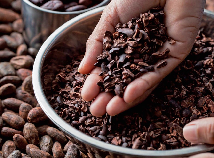 Cacao nibs from Malagos Chocolate Cacao nibs from Malagos Chocolate
