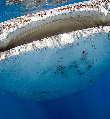 Sorsogon Tours and Activities