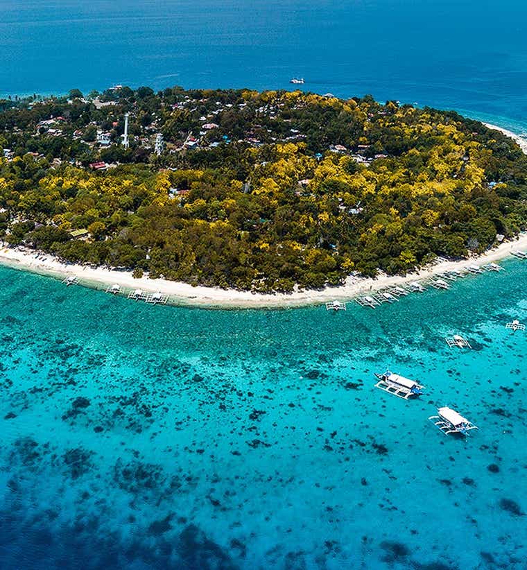 Balicasag Island Tours