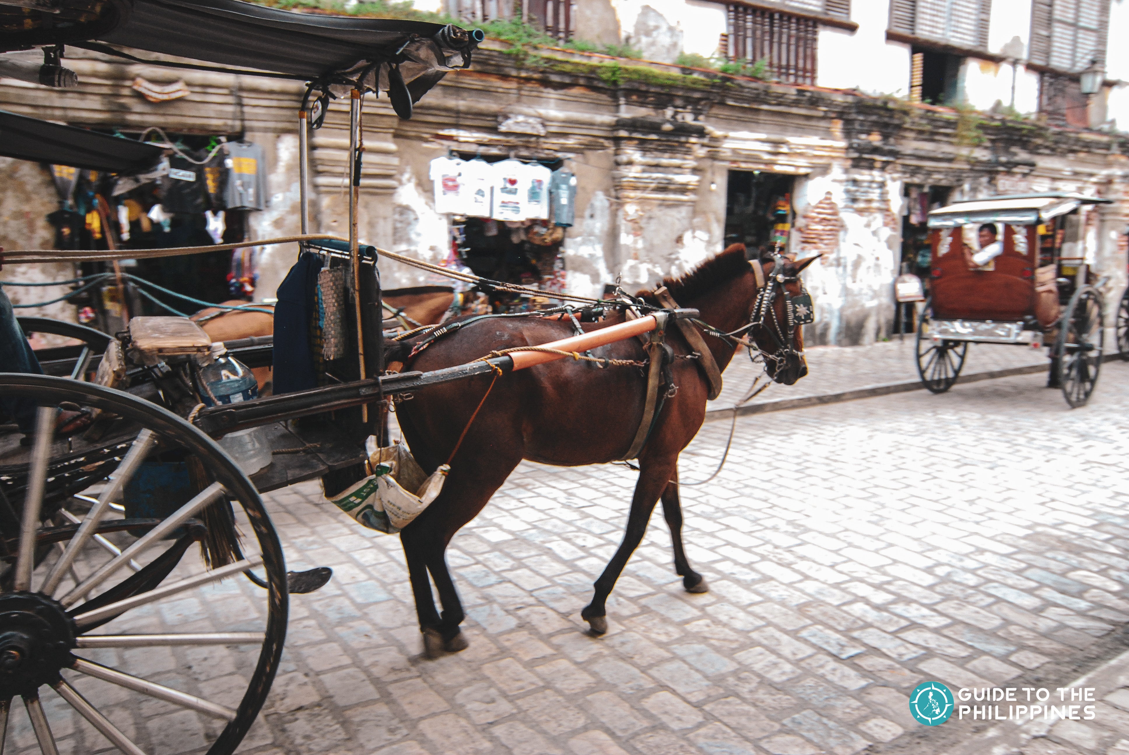 A kalesa on the streets of Calle Crisologo