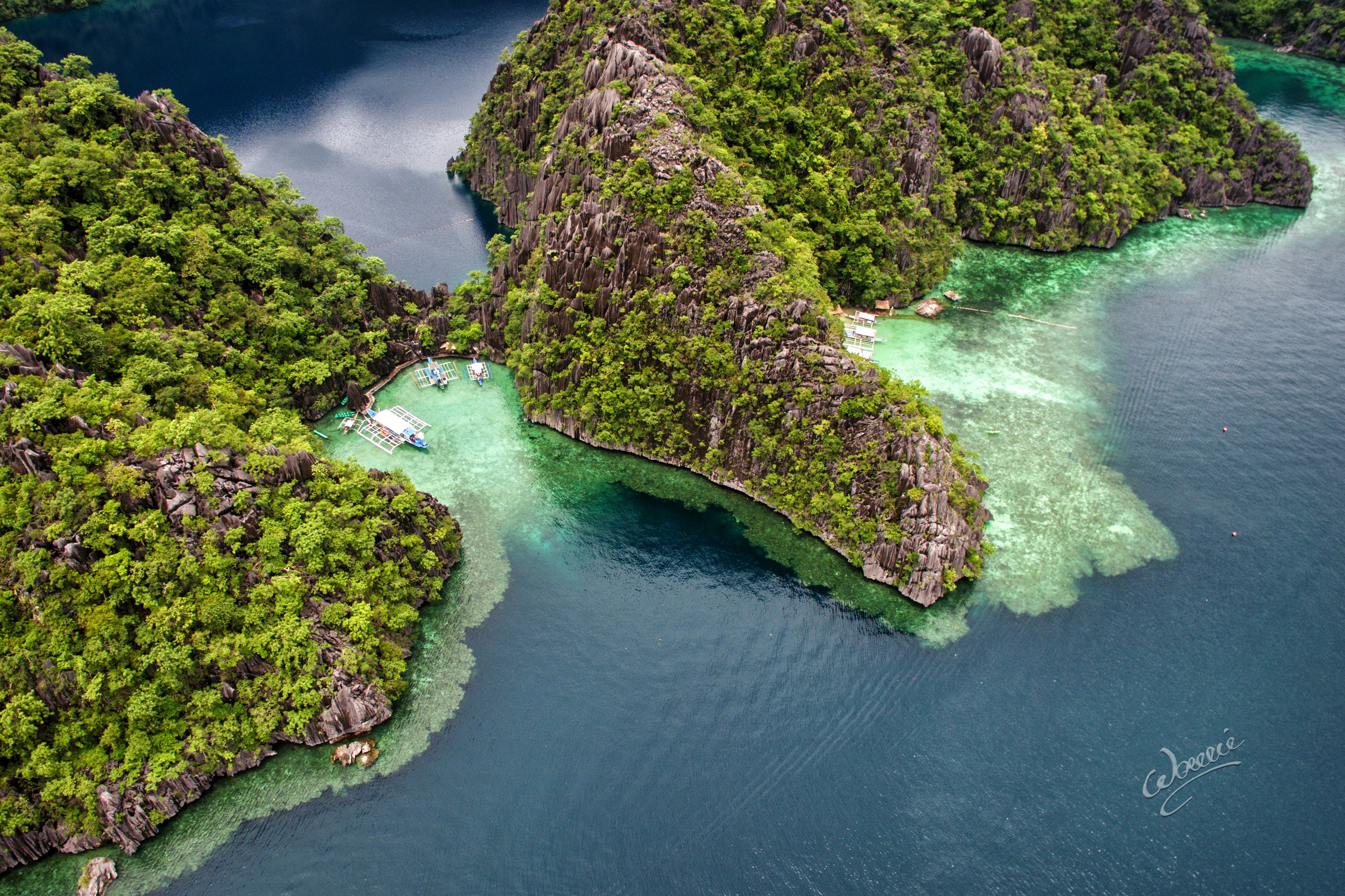 Aerial view of Barracuda Lake in Coron Palawan