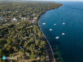 Guide to Diving in Dumaguete: Apo Island and Muck Diving in Dauin