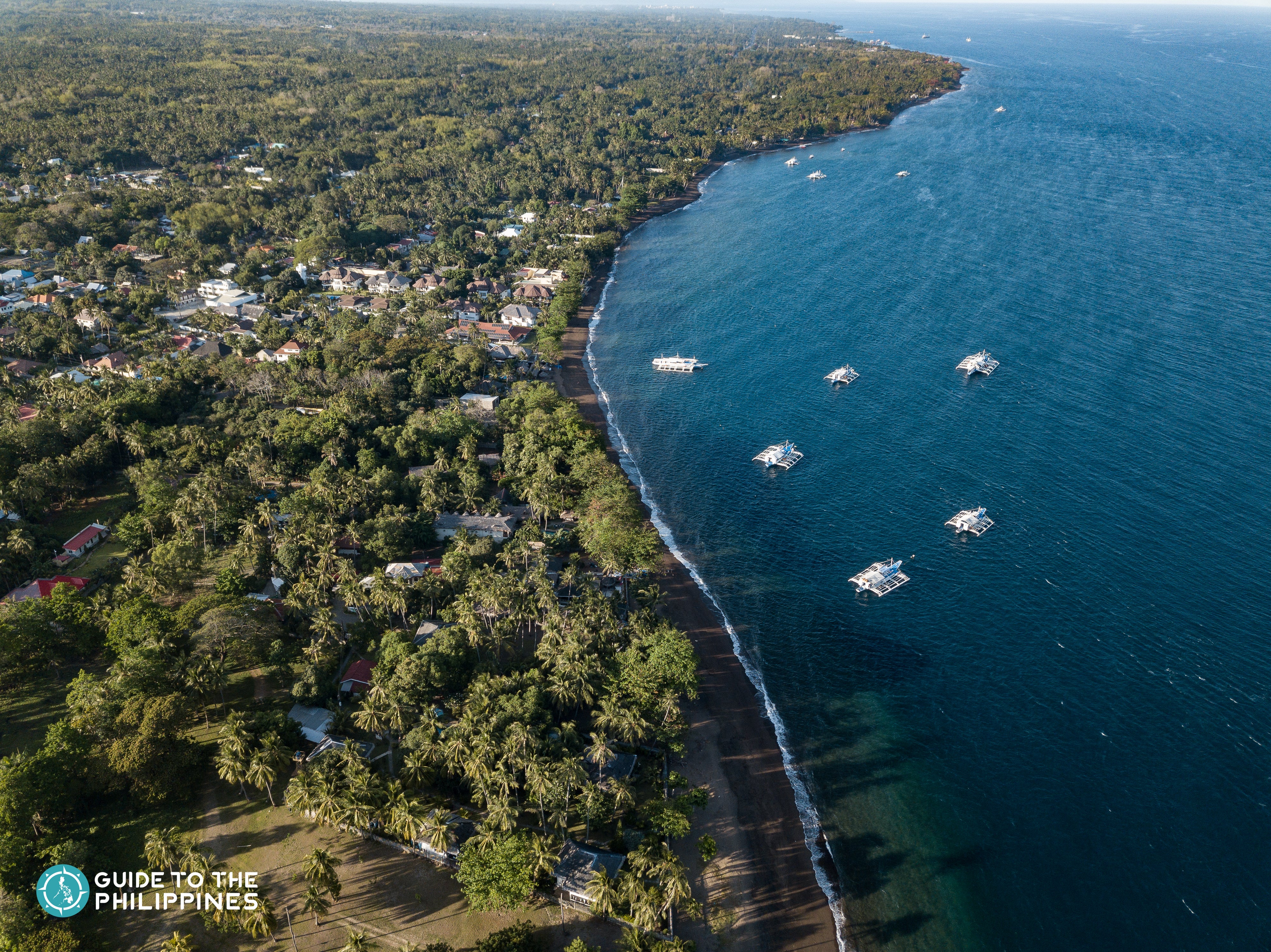 Aerial view of the coastline of Dauin