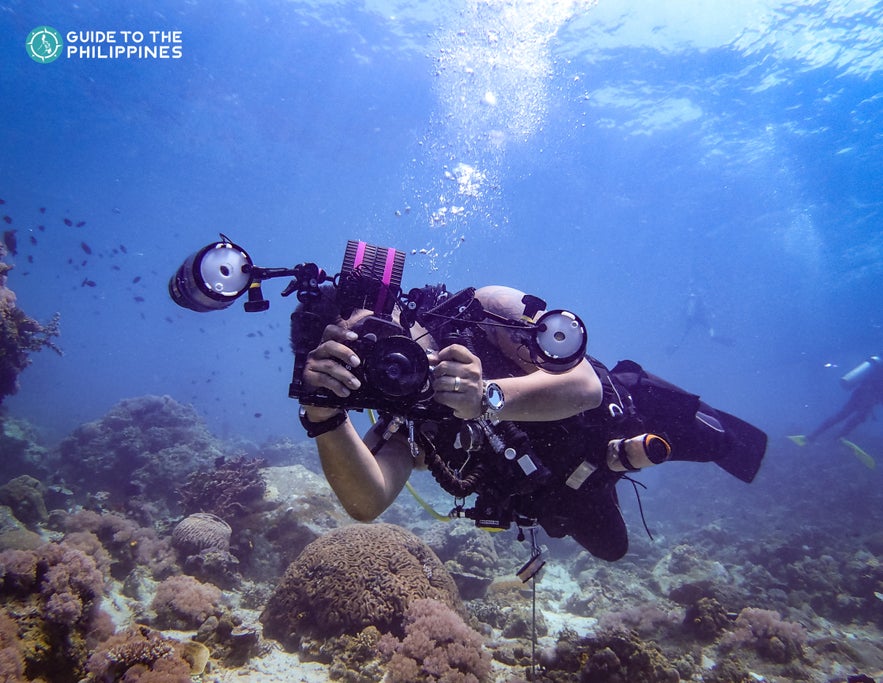 A diver taking a photograph in Anilao A diver taking a photograph in Anilao