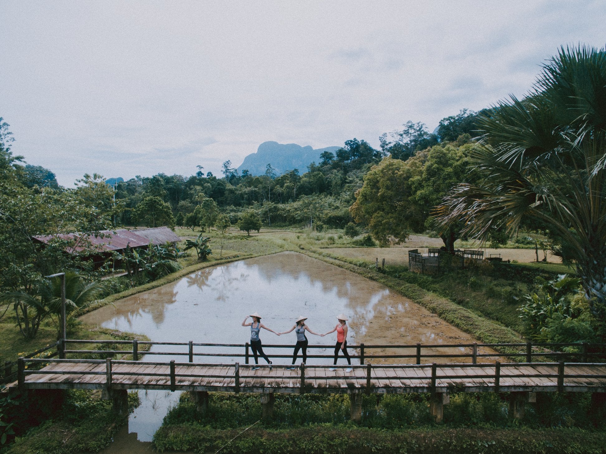 A bridge in Sheridan Organic Farm