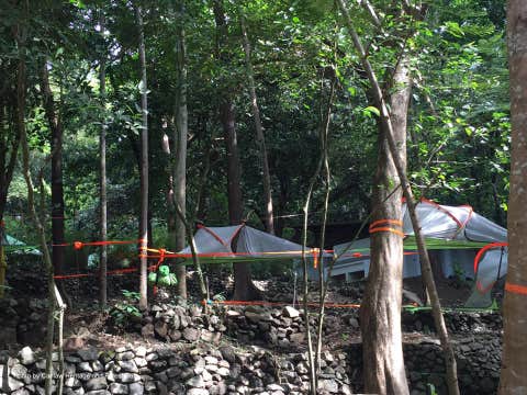 Ilocos Sur Tour to Baluarte Zoo & Nature Park for Half-Day with Transfers from Vigan