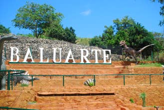 Ilocos Sur Tour to Baluarte Zoo & Nature Park for Half-Day with Transfers from Vigan