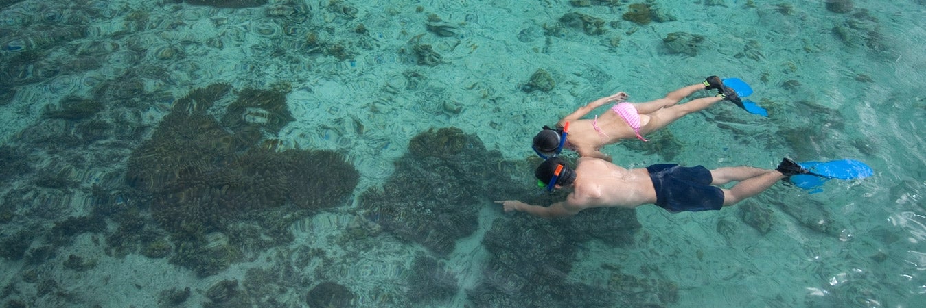 This tour package includes snorkeling at Bluewater Sumilon Island Resort's vibrant marine sanctuary.