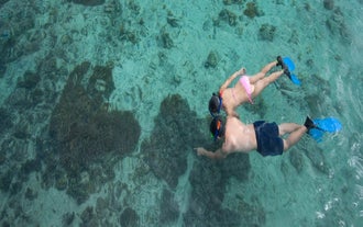This tour package includes snorkeling at Bluewater Sumilon Island Resort's vibrant marine sanctuary.