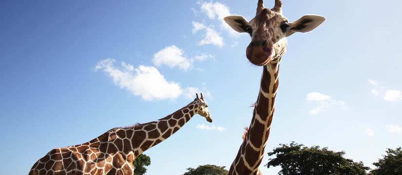 Refreshing 4-Day Palawan Island Getaway to Coron Town with Local Flights