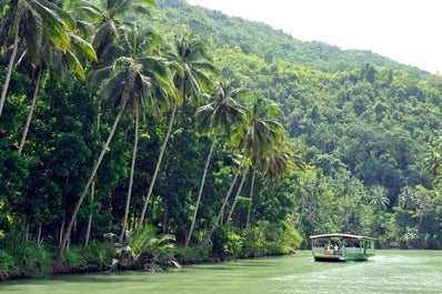 Relaxing environment while cruising along Loboc River