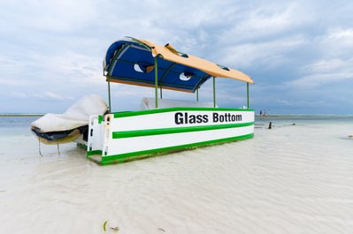 glass-bottomed boat of Bohol beach club