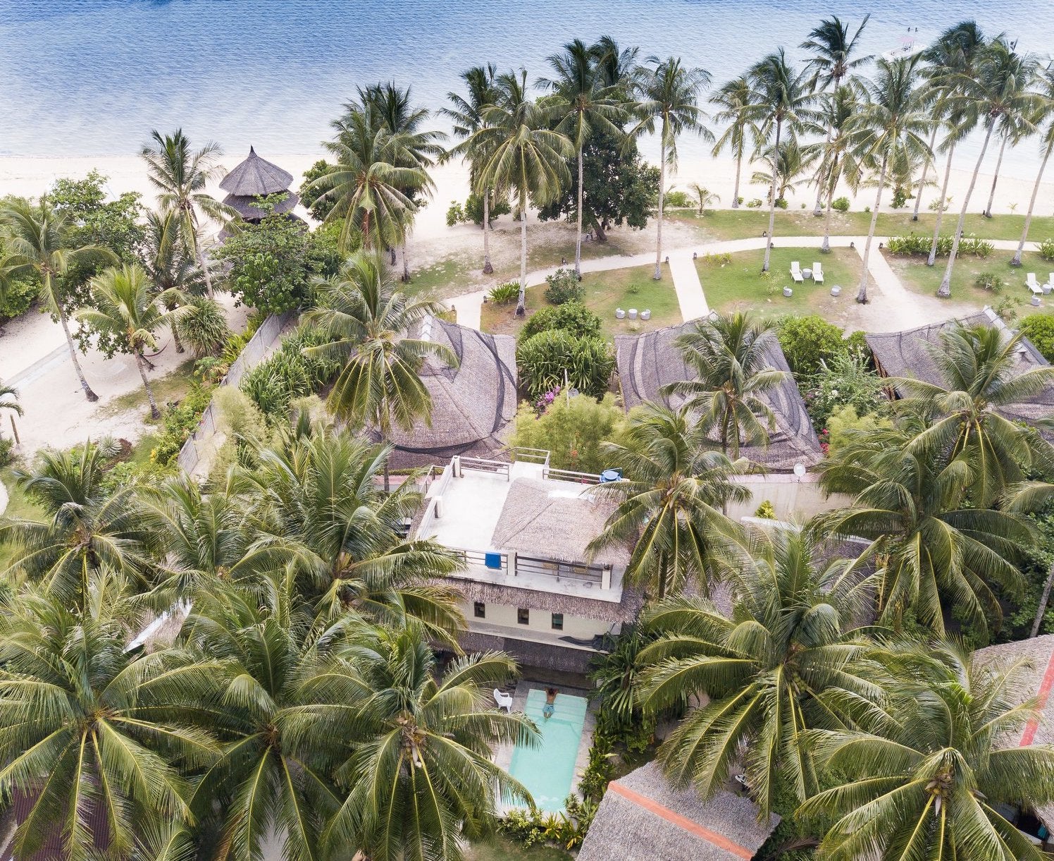 Palm trees surrounding Kawili Resort in Siargao