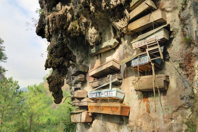 The popular hanging coffins of Sagada