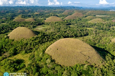 Aerial view of Chocolate Hills in Bohol