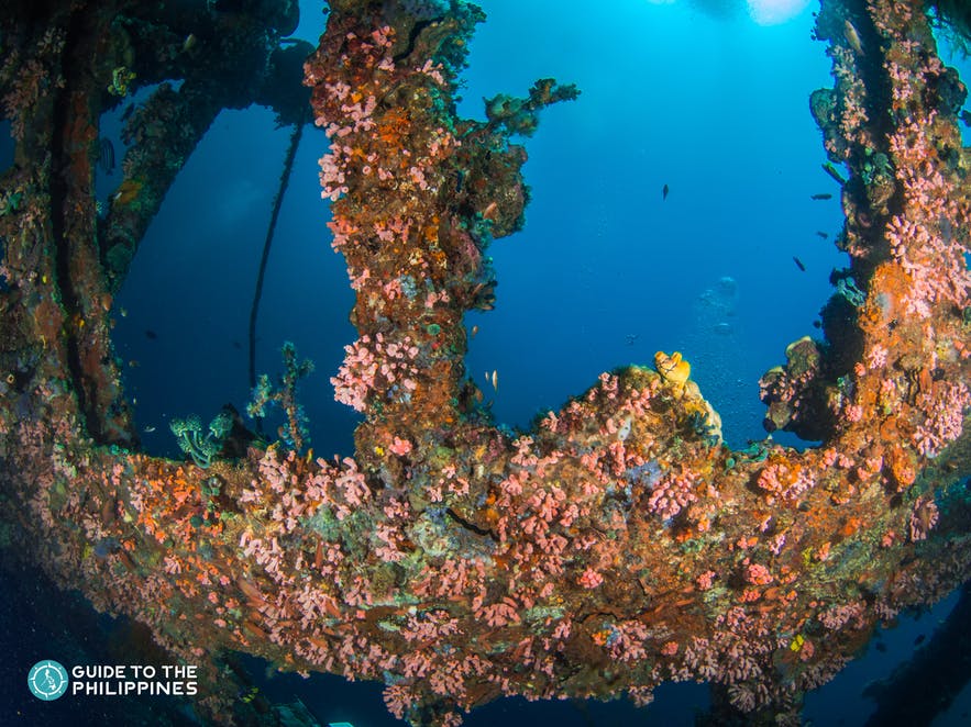 A dive spot in Anilao Batangas
