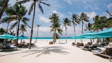 Lounge chairs by the beach