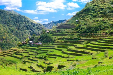 Lush green landscape of Batad Rice Terraces