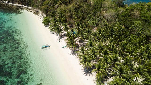 10-Day Philippines Beach Vacation Package to Islands of Palawan, Apo Island & Cebu Moalboal Island