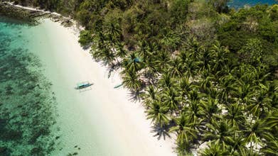 10-Day Philippines Beach Vacation Package to Islands of Palawan, Apo Island & Cebu Moalboal Island