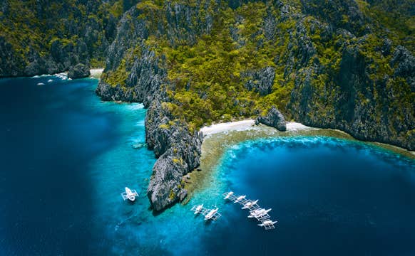 10-Day Philippines Beach Vacation Package to Islands of Palawan, Apo Island & Cebu Moalboal Island
