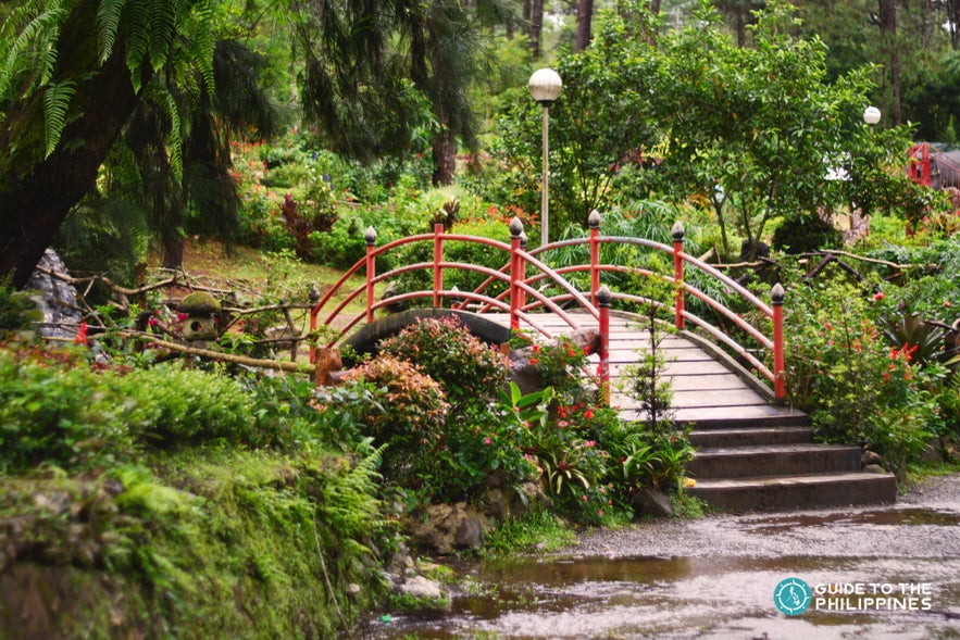 Bridge inside the Botanical Garden of Baguio City Bridge inside the Botanical Garden of Baguio City