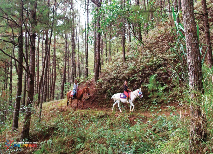 Horse-back riding experience in Camp John Hay Horse-back riding experience in Camp John Hay