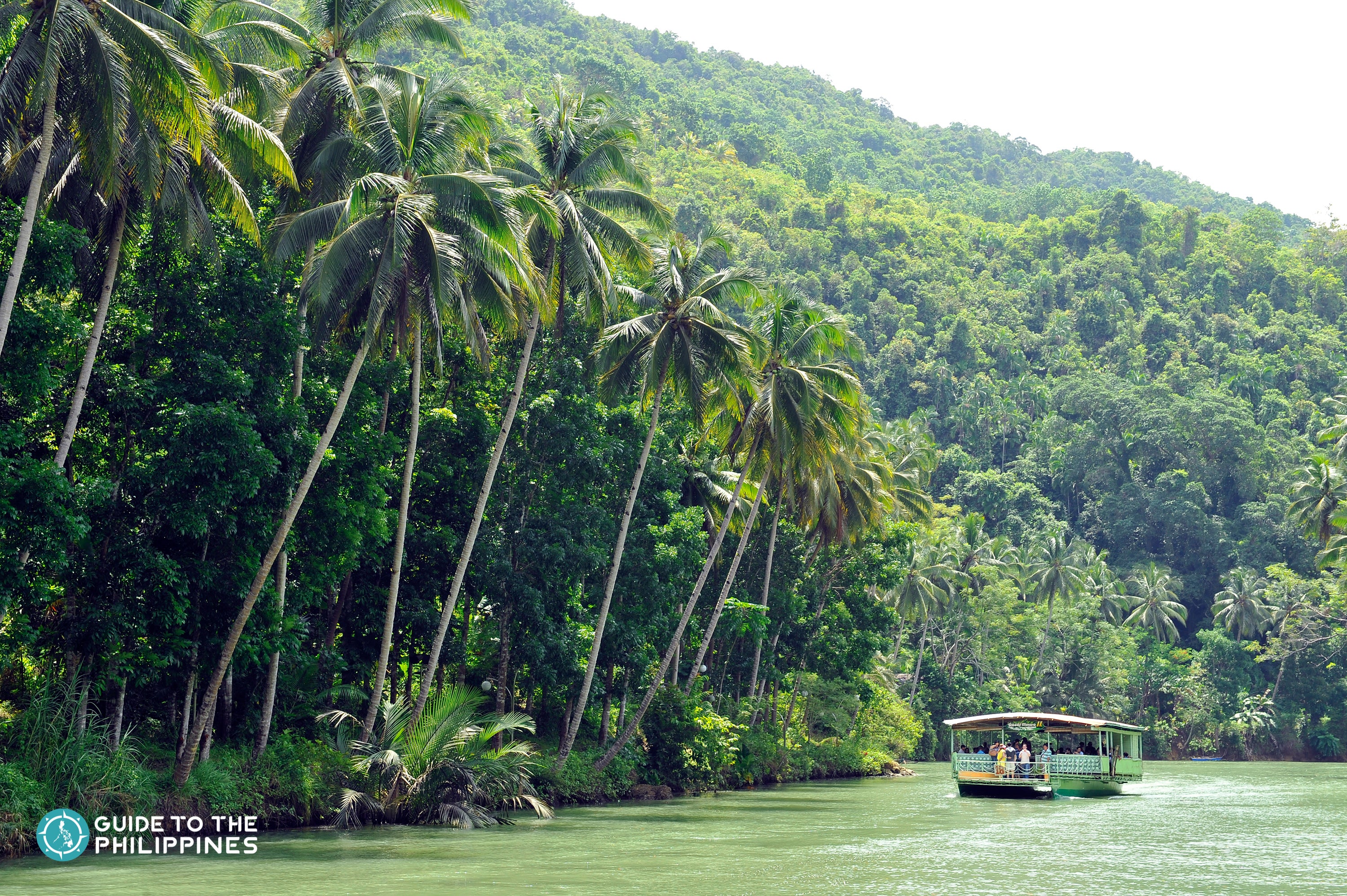 Emerald waters and lush forest at Loboc River in Bohol