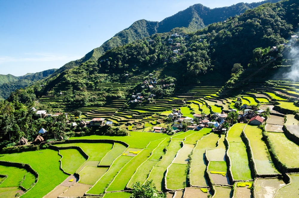 Vibrant green rice terraces in Banaue