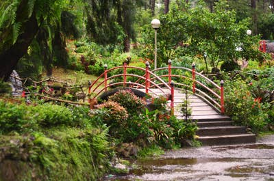 Bridge in a botanical garden in Baguio