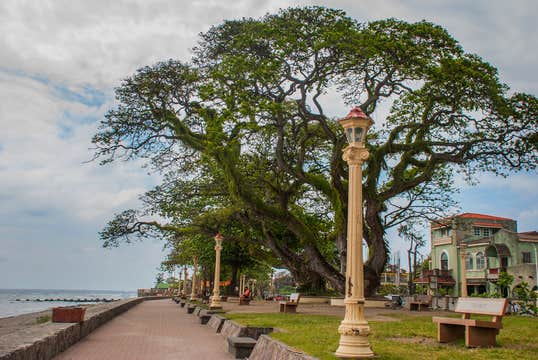 8-Day Philippines Vacation Package to Baguio, Ilocos, Dumaguete City & Apo Island from Manila