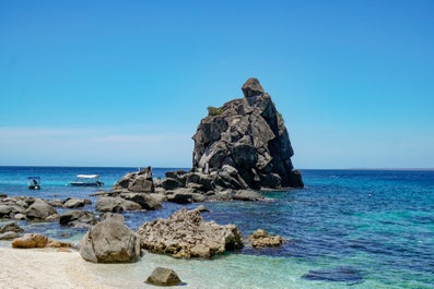 Beach in Apo Island, Dumaguete