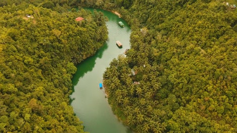 Aerial view of Loboc River in Bohol