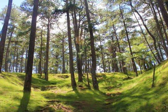 8-Day Historical, Nature Sightseeing & Island Hopping Tour to Ilocos, Baguio & Palawan from Manila