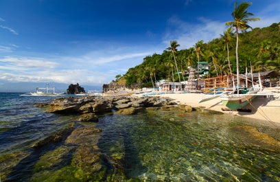 White sand  beach in Apo Island in Dumaguete